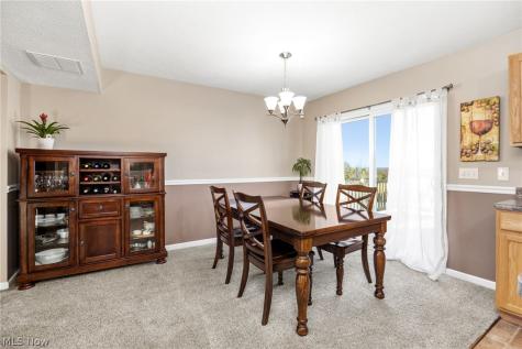 2664 Day Lily Lane Medina OH 44256