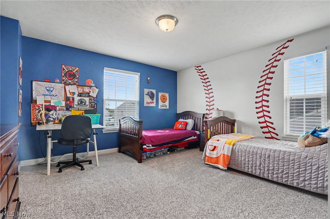 4721 Briar Hill Drive Ravenna OH 44266