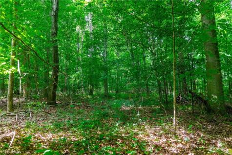 11861 Hidden Lake Drive Marshallville OH 44645