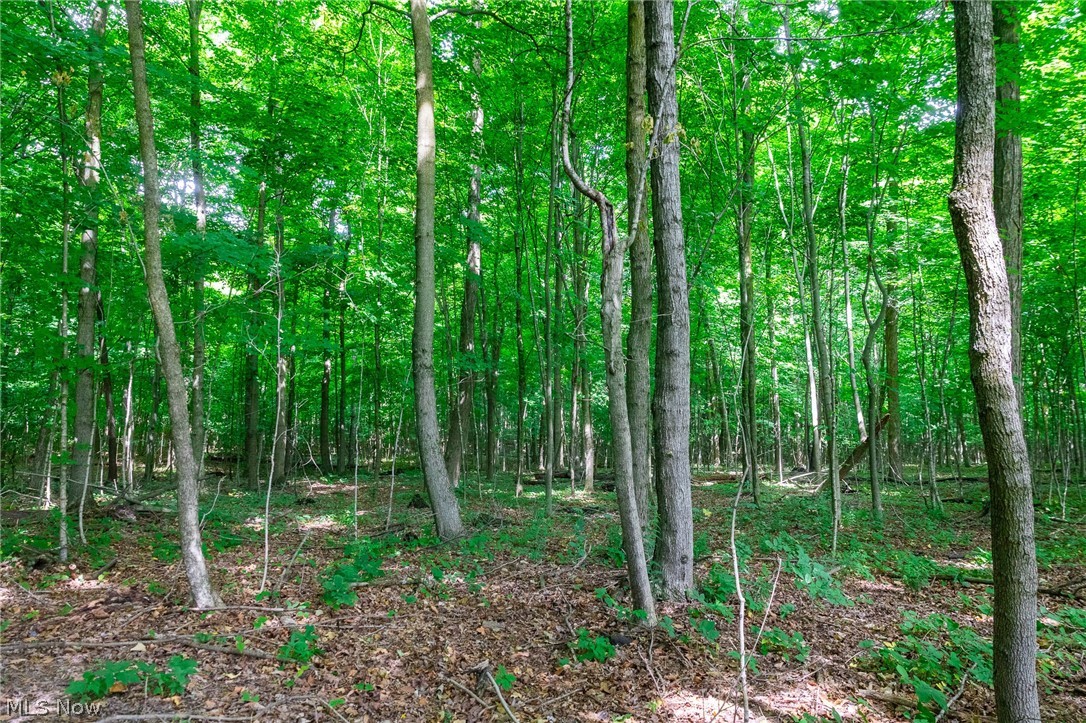 11861 Hidden Lake Drive Marshallville OH 44645