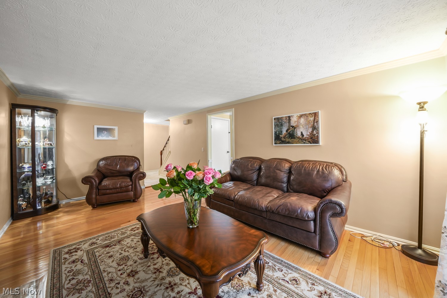 1972 Stoney Hill Drive Hudson OH 44236