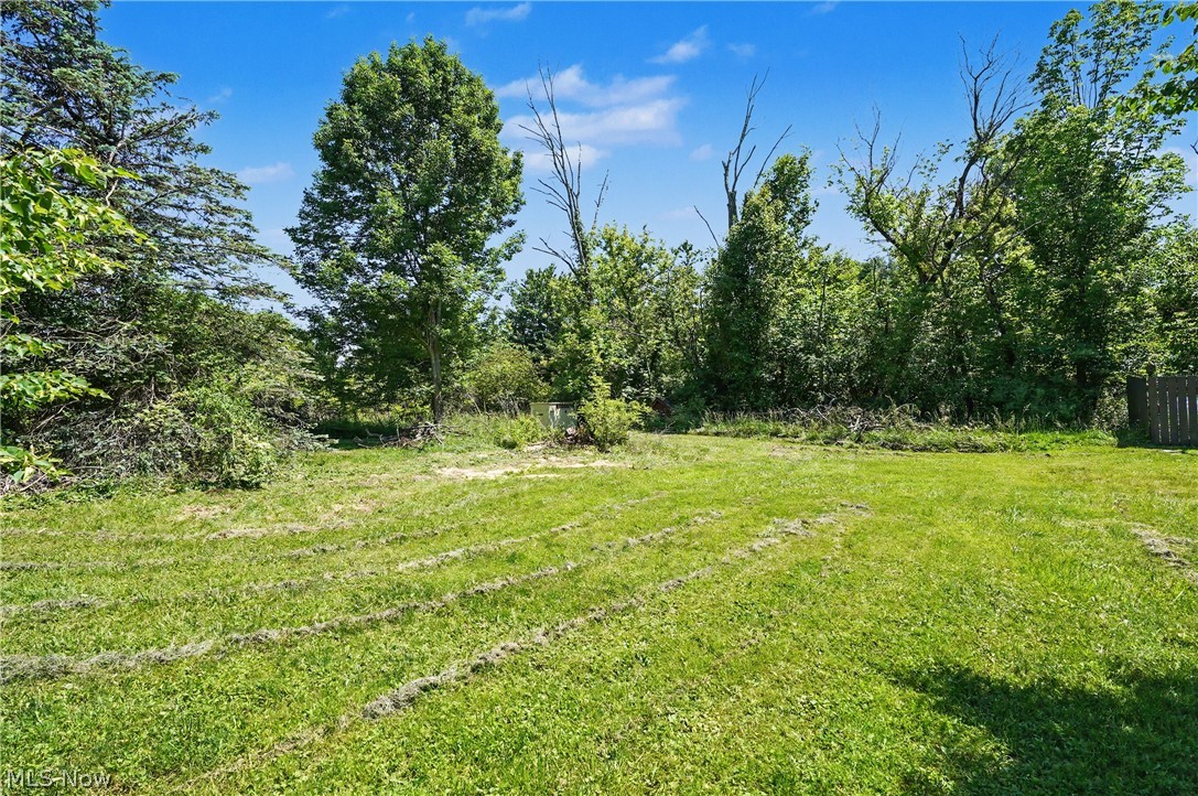 4622 Beechwood Avenue NE Paris OH 44669