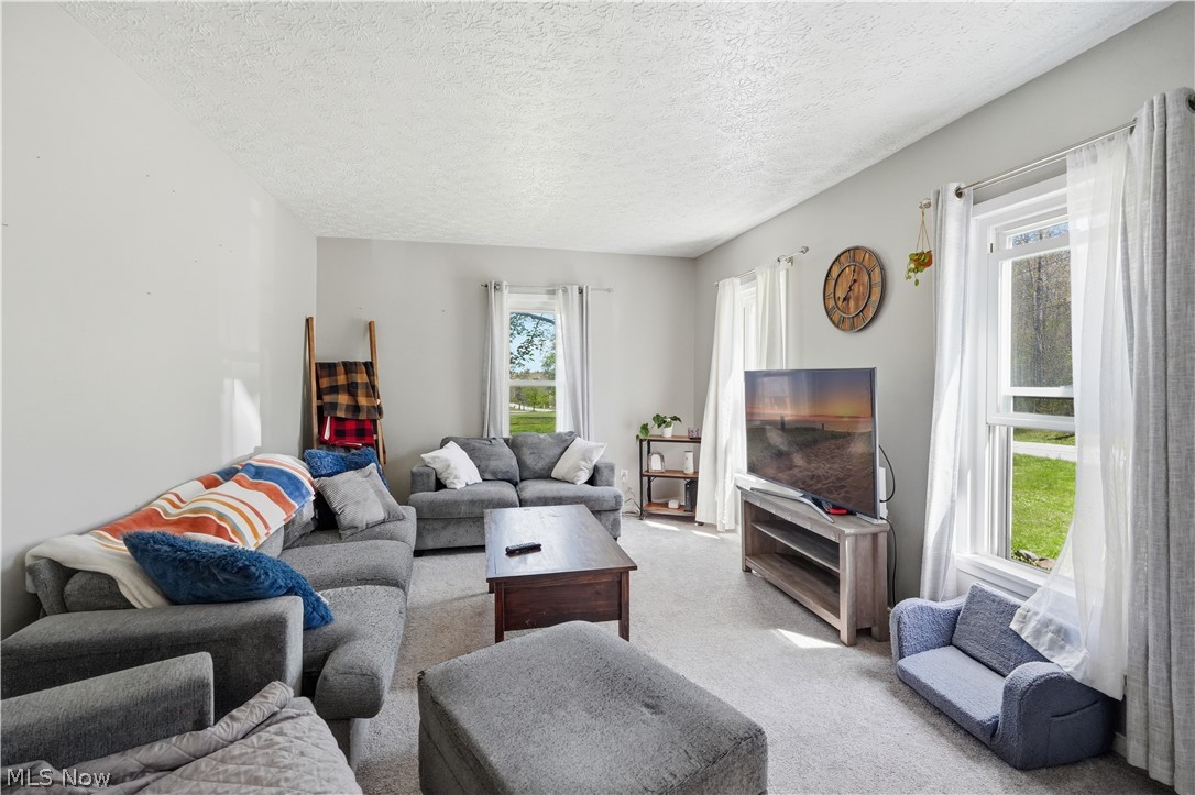 6512 Clay Street Thompson OH 44086