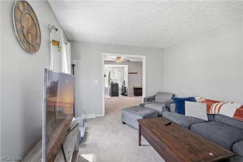 6512 Clay Street Thompson OH 44086