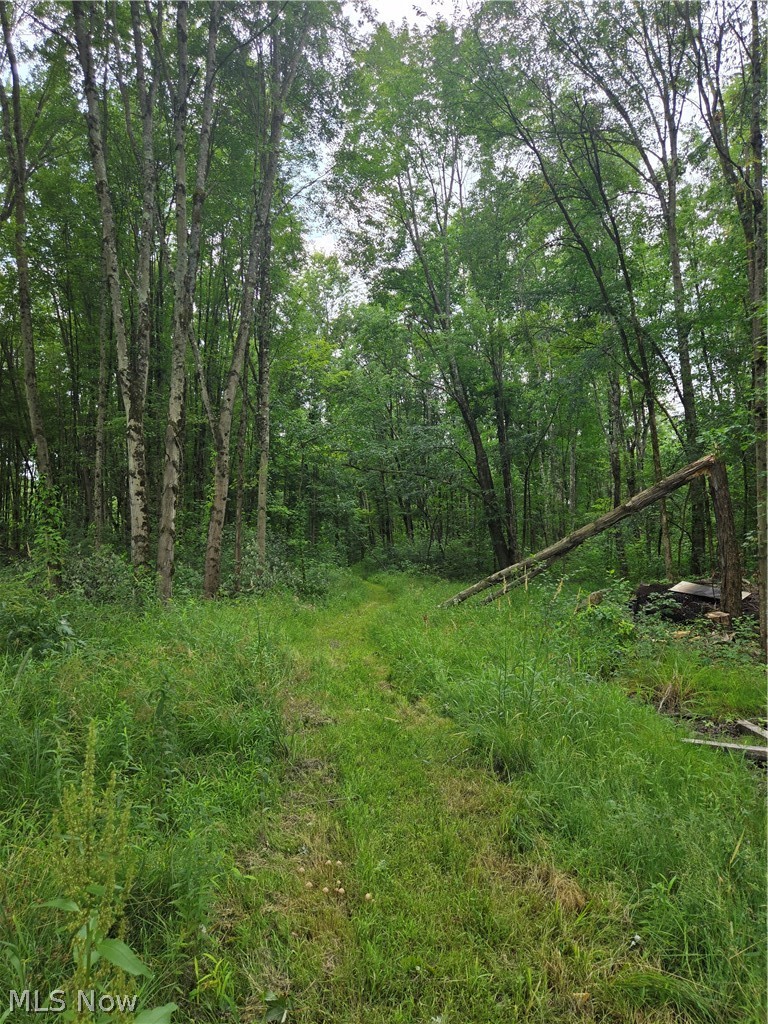 4146 New Hudson Road Orwell OH 44076