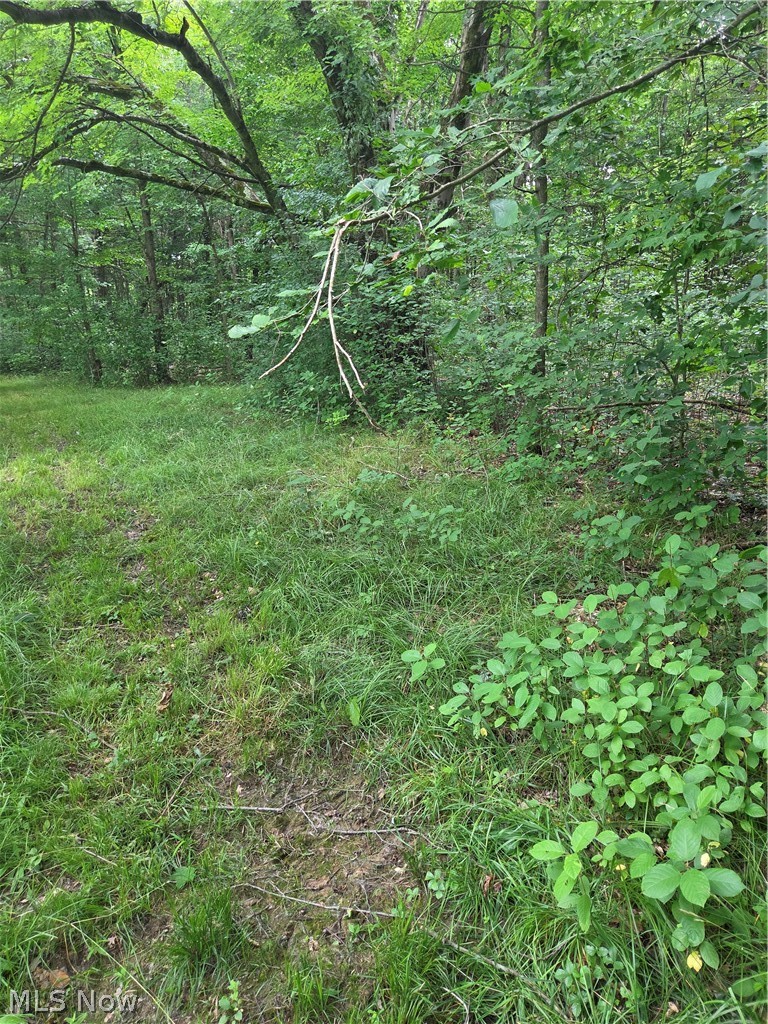 4146 New Hudson Road Orwell OH 44076