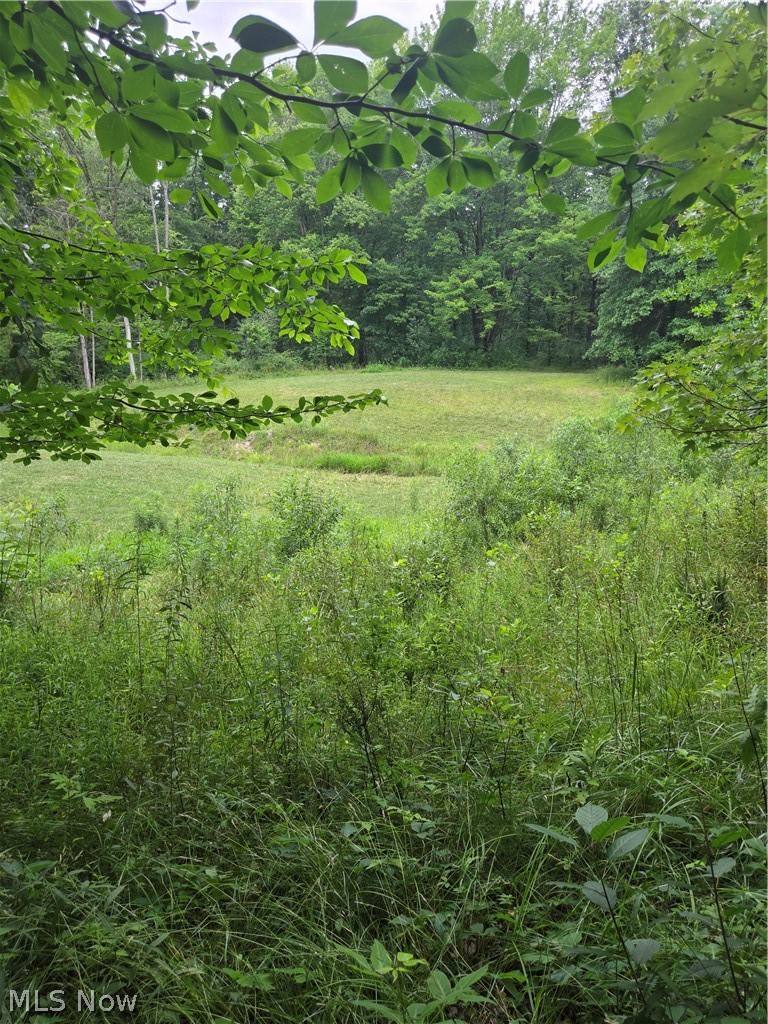 4146 New Hudson Road Orwell OH 44076