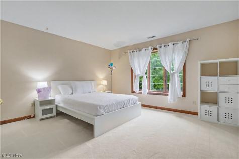 1295 Connecticut Woods Drive Hudson OH 44236