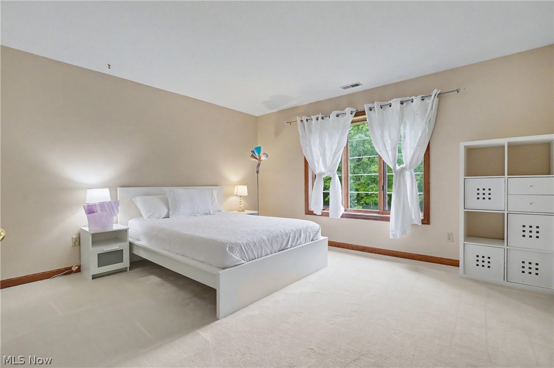 1295 Connecticut Woods Drive Hudson OH 44236