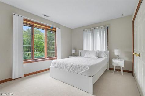1295 Connecticut Woods Drive Hudson OH 44236