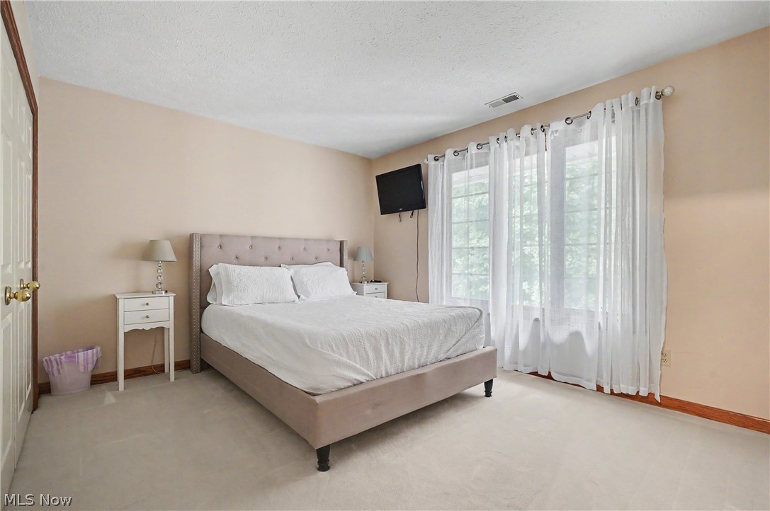 1295 Connecticut Woods Drive Hudson OH 44236