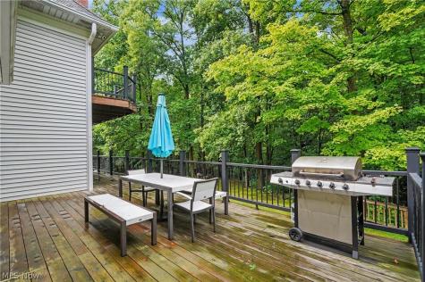 1295 Connecticut Woods Drive Hudson OH 44236
