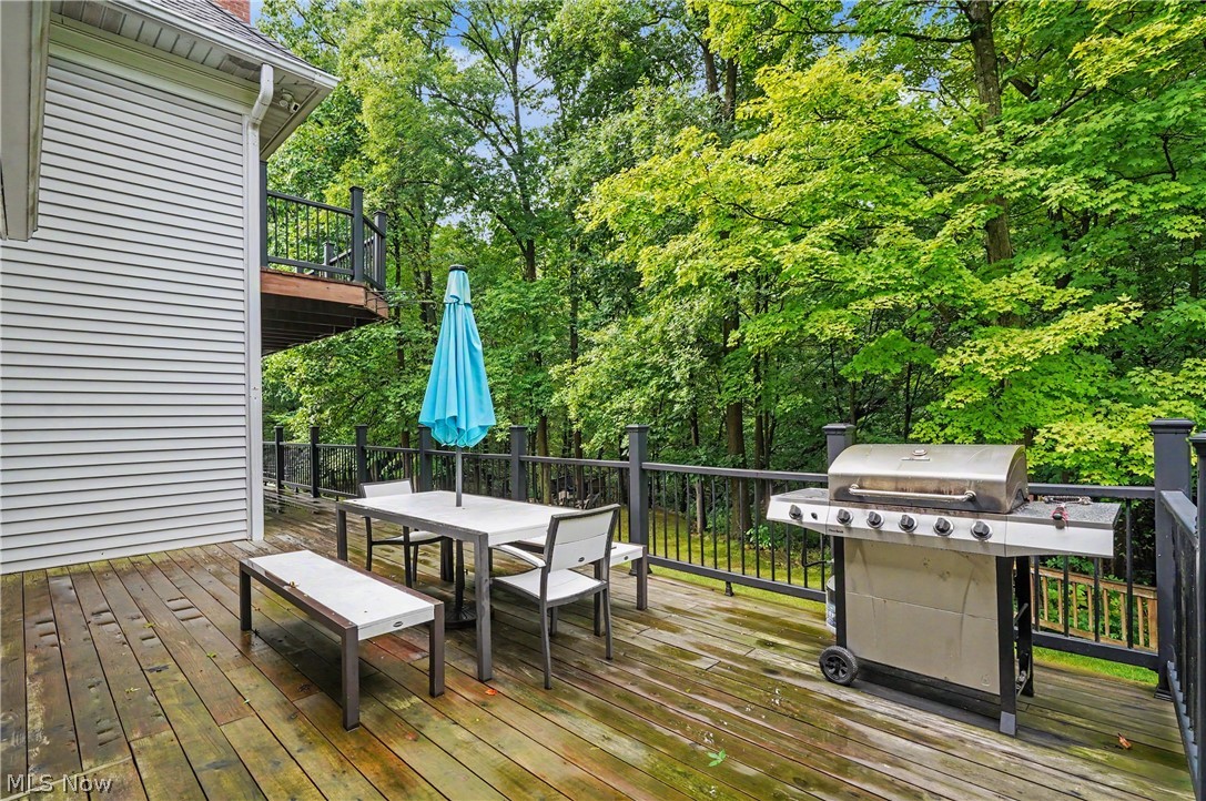 1295 Connecticut Woods Drive Hudson OH 44236