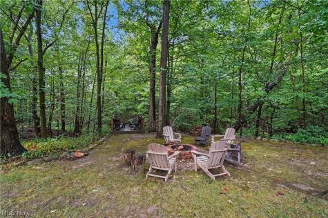 1295 Connecticut Woods Drive Hudson OH 44236