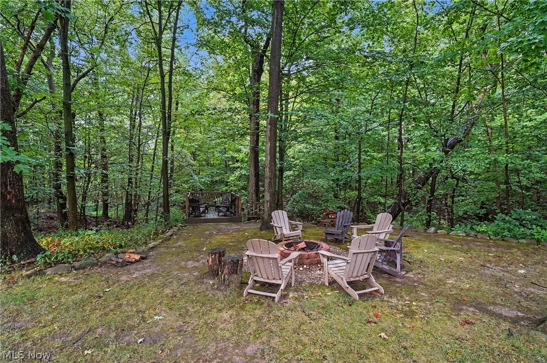 1295 Connecticut Woods Drive Hudson OH 44236