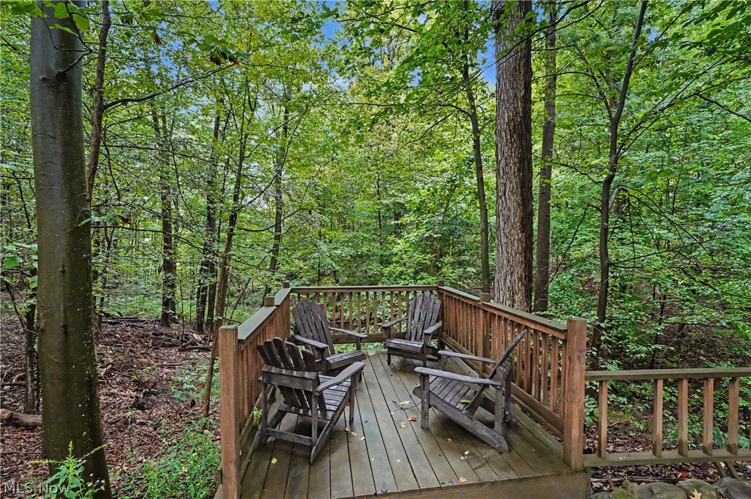 1295 Connecticut Woods Drive Hudson OH 44236