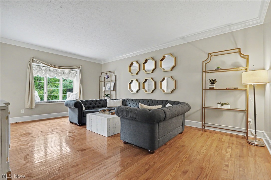 1295 Connecticut Woods Drive Hudson OH 44236