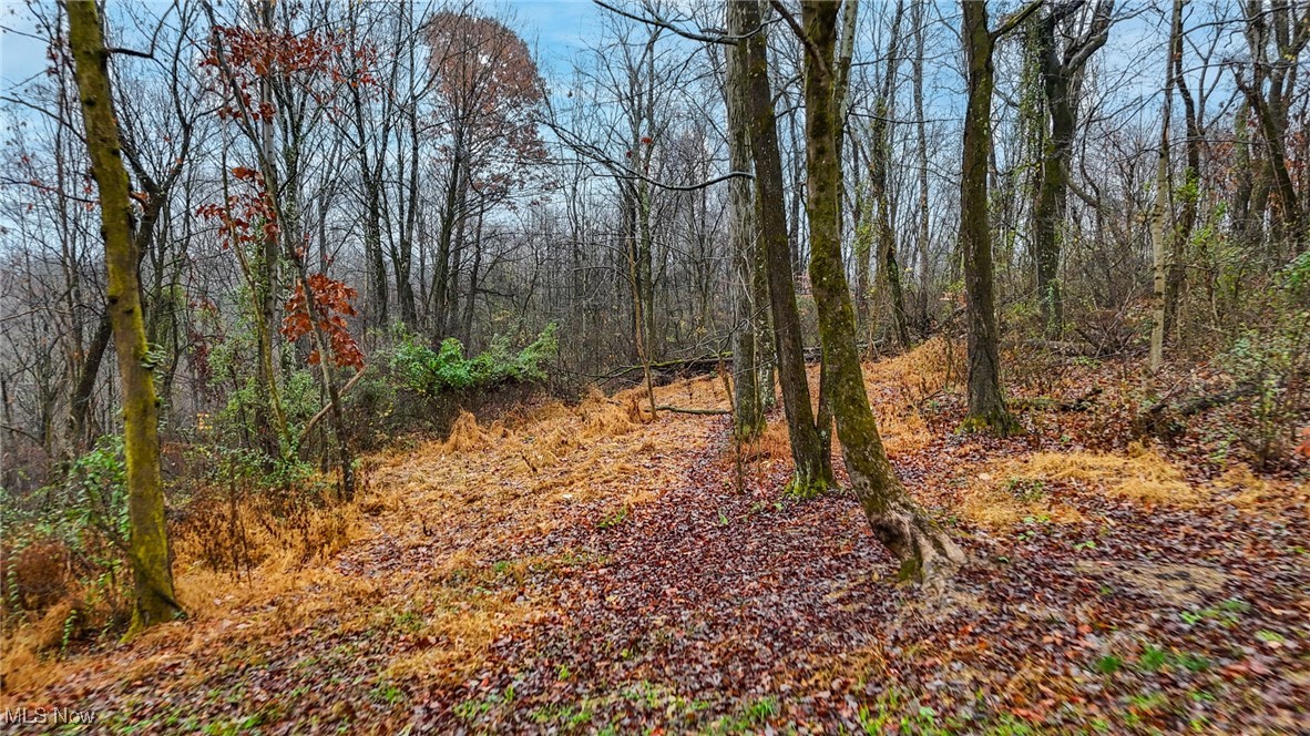169 Kinderhook Ridge Road Newport OH 45768