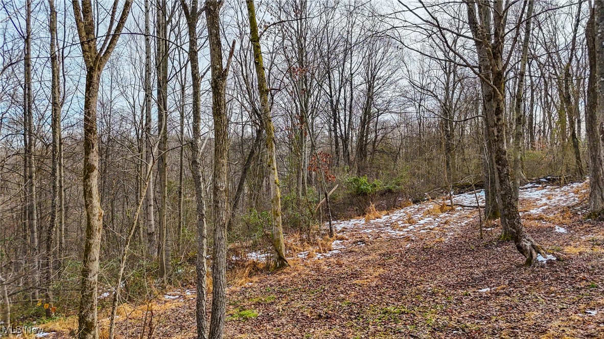 169 Kinderhook Ridge Road Newport OH 45768