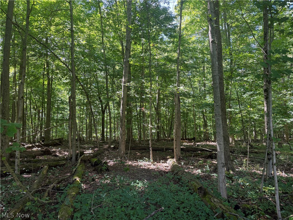 602 State Route 511 Ashland OH 44805