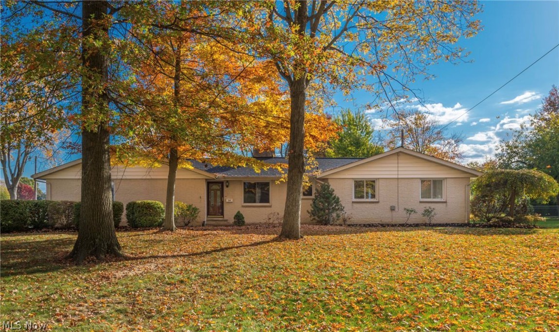 239 Forest Street Wellington OH 44090
