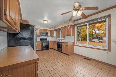 239 Forest Street Wellington OH 44090