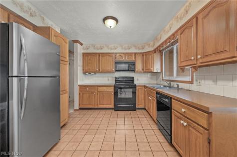 239 Forest Street Wellington OH 44090