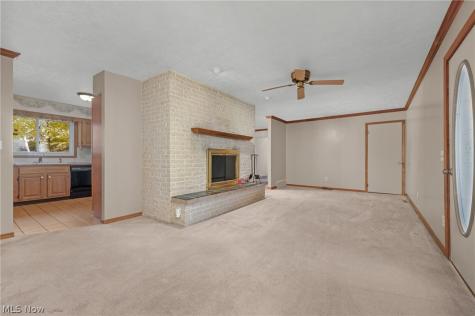 239 Forest Street Wellington OH 44090