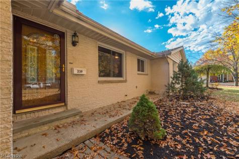 239 Forest Street Wellington OH 44090
