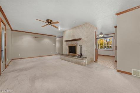 239 Forest Street Wellington OH 44090