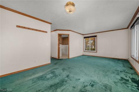 239 Forest Street Wellington OH 44090