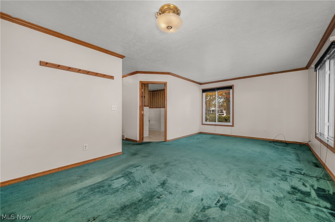 239 Forest Street Wellington OH 44090