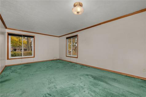 239 Forest Street Wellington OH 44090