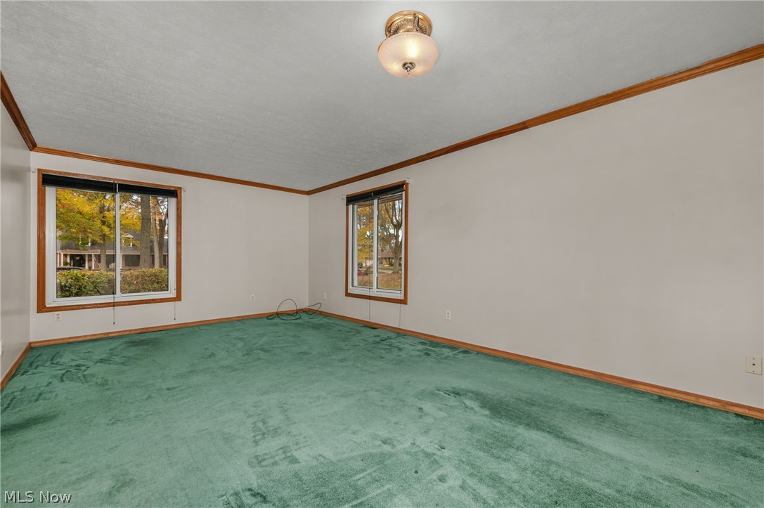 239 Forest Street Wellington OH 44090