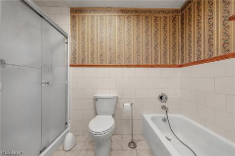 239 Forest Street Wellington OH 44090