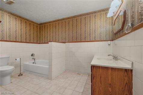 239 Forest Street Wellington OH 44090