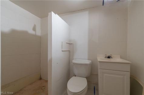 239 Forest Street Wellington OH 44090