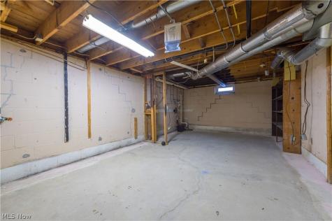 239 Forest Street Wellington OH 44090
