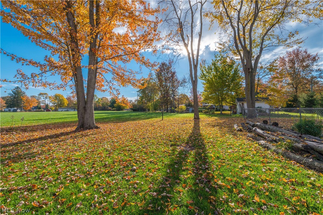 239 Forest Street Wellington OH 44090