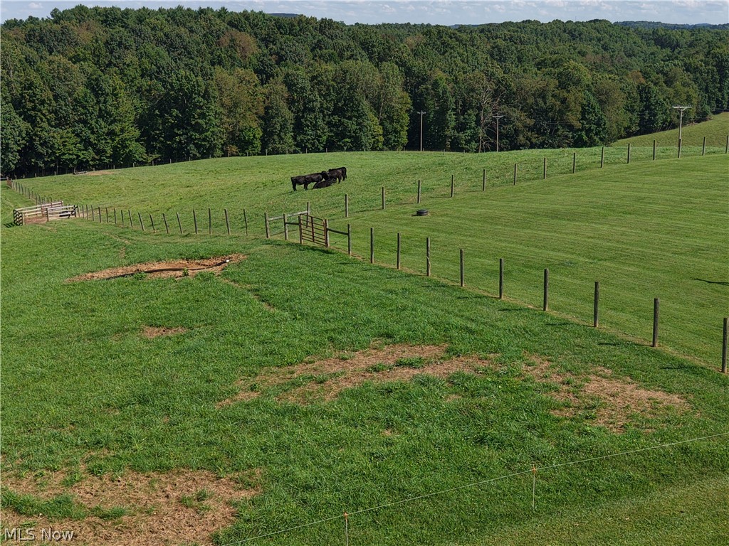 56965 Stumptown School Road Jerusalem OH 43747
