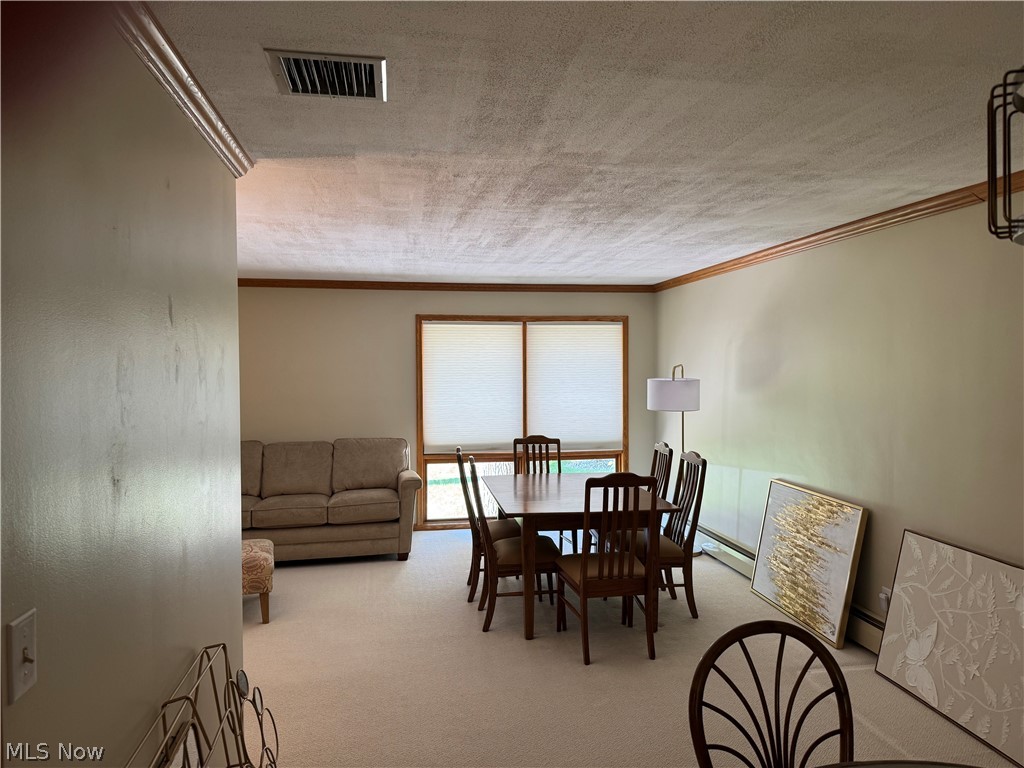 205 Rutledge Drive Akron OH 44319