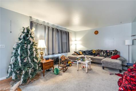 15390 Cenfield Street NE Alliance OH 44601