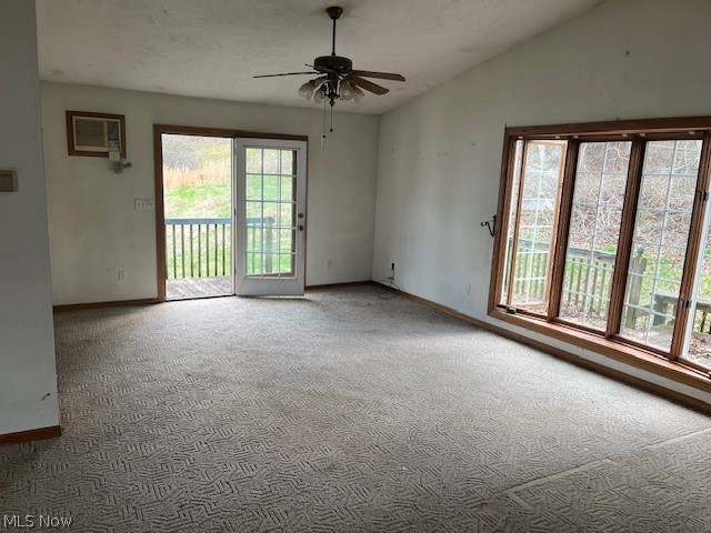 219 W College Street Scio OH 43988