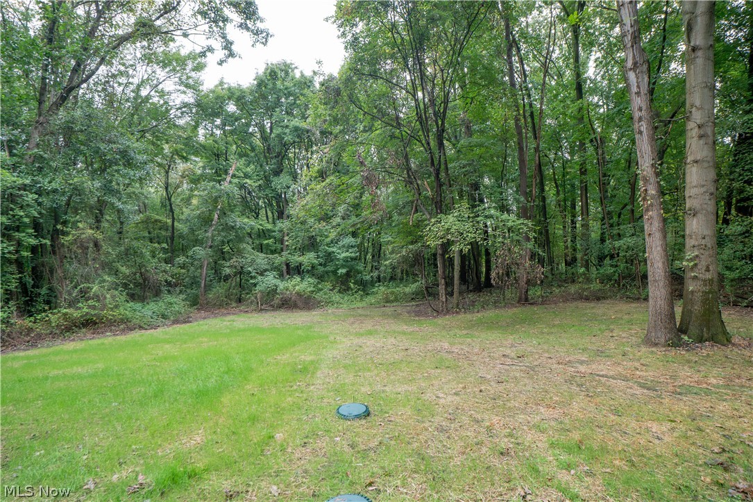 3461 Mabel Avenue Ravenna OH 44266