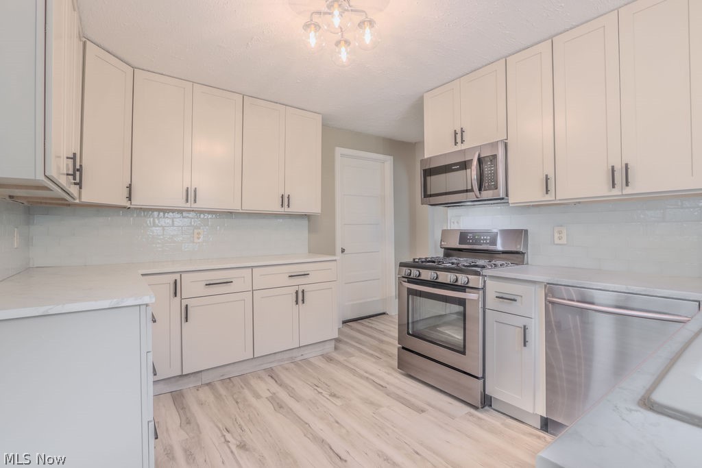 41796 Adelbert Street Elyria OH 44035