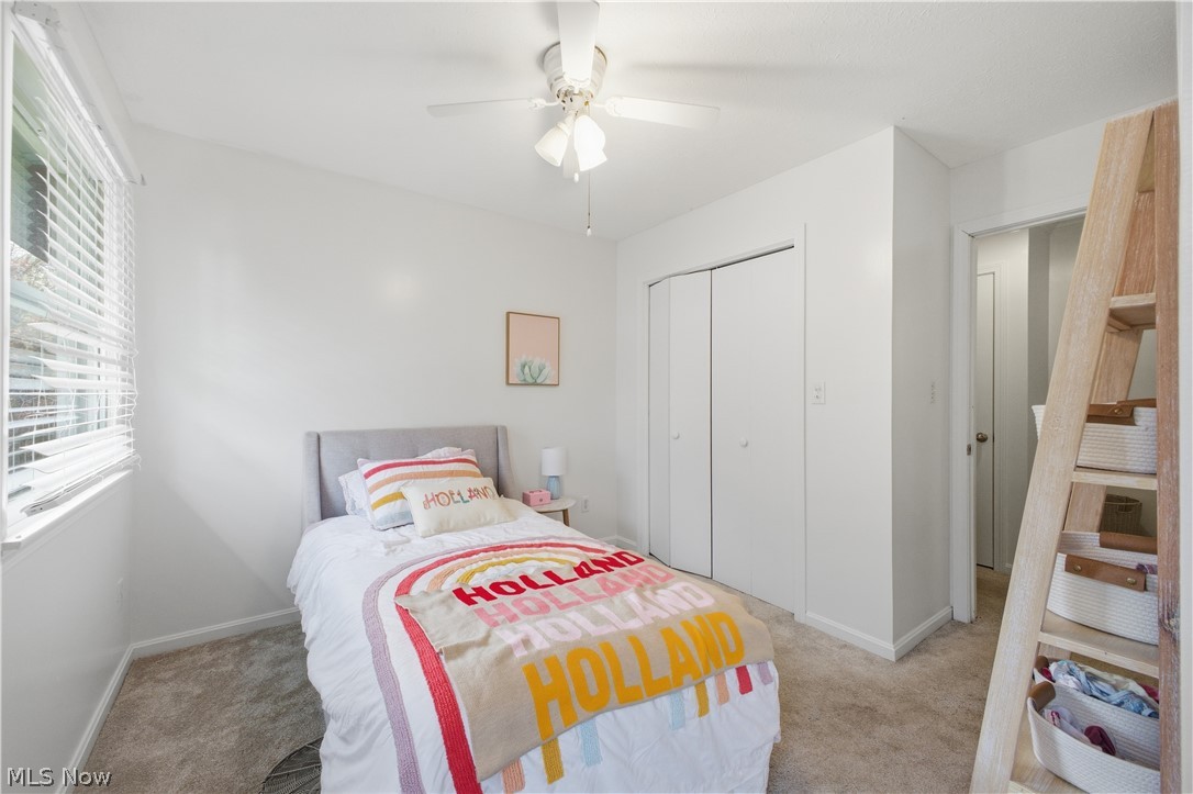 505 Sycamore Trail Cortland OH 44410