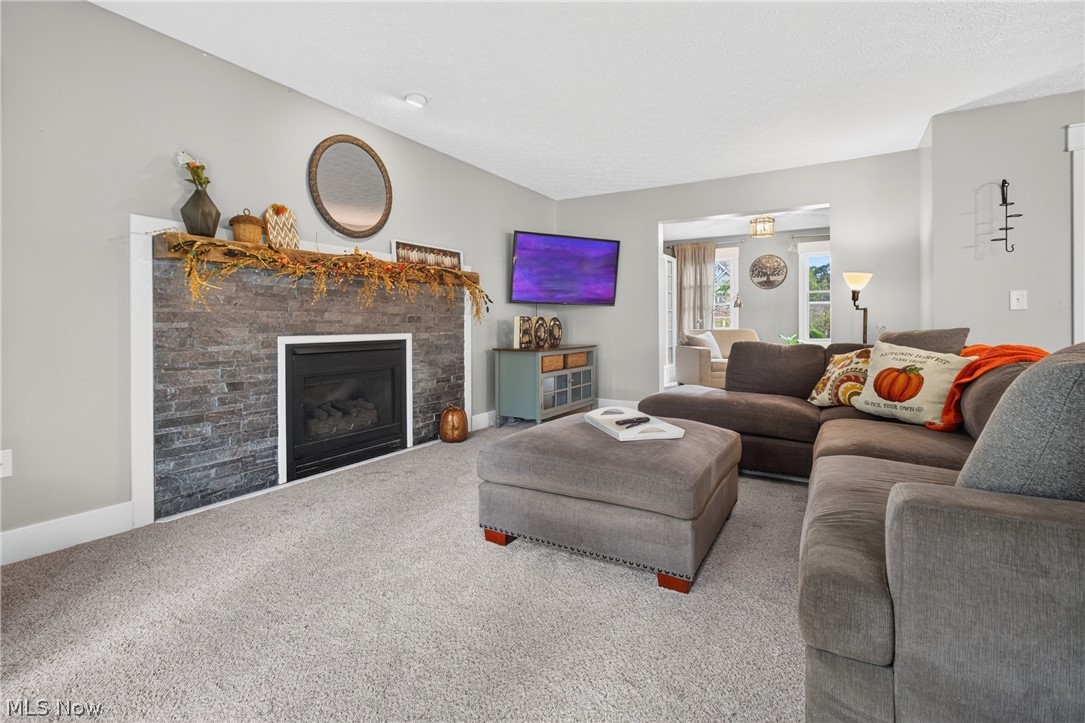 1008 Coopers Run Amherst OH 44001
