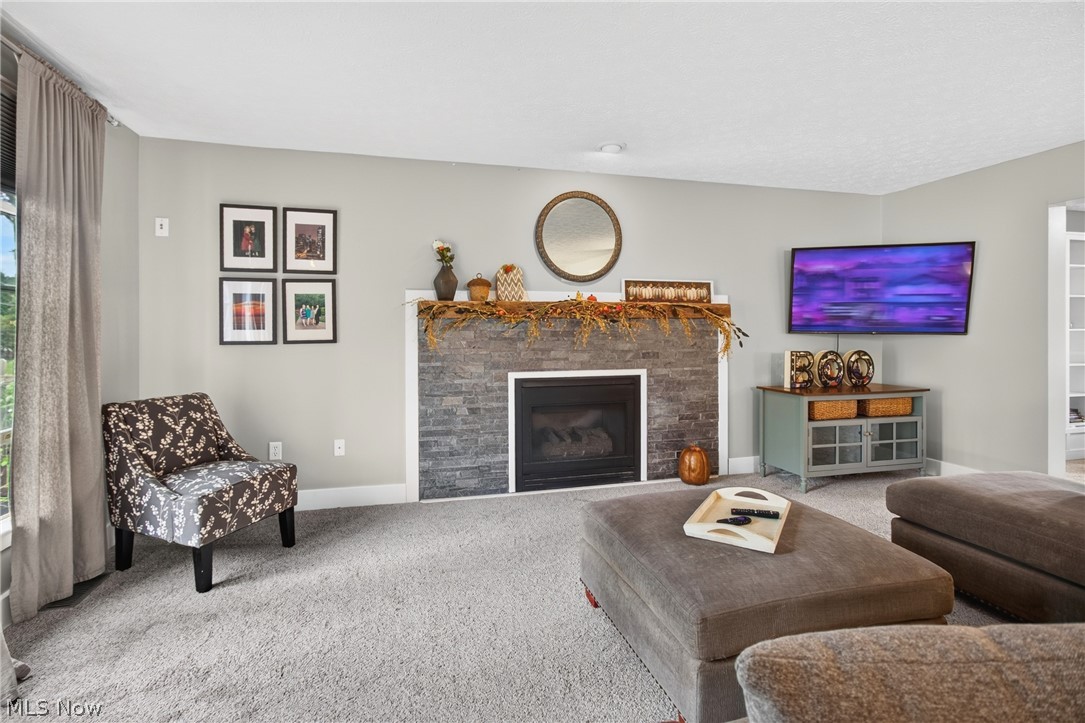 1008 Coopers Run Amherst OH 44001