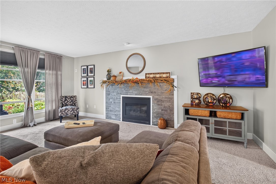1008 Coopers Run Amherst OH 44001