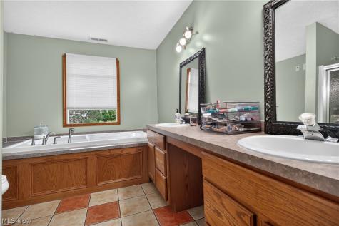 1008 Coopers Run Amherst OH 44001